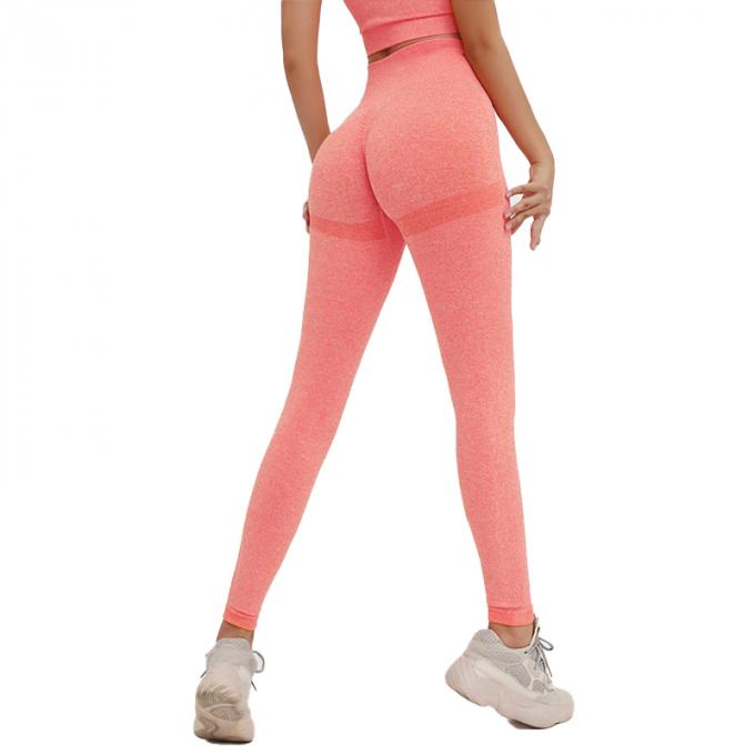 Contrôle élevé de ventre de la taille des femmes chaudes de Saling amincissant les collants courants d'ascenseur de bout de séance d'entraînement plus la culotte de yoga de femme de sports de taille