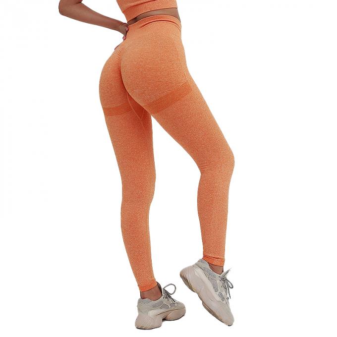 Contrôle élevé de ventre de la taille des femmes chaudes de Saling amincissant les collants courants d'ascenseur de bout de séance d'entraînement plus la culotte de yoga de femme de sports de taille