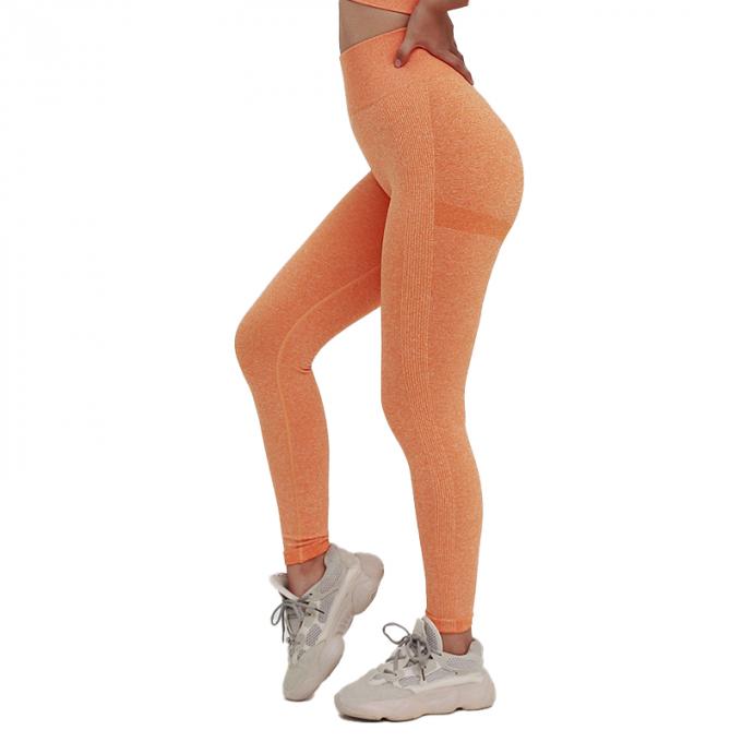 Contrôle élevé de ventre de la taille des femmes chaudes de Saling amincissant les collants courants d'ascenseur de bout de séance d'entraînement plus la culotte de yoga de femme de sports de taille