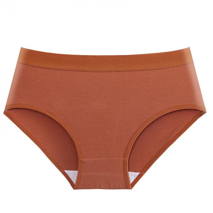 Femmes modales de sous-vêtements de nouvelle de mode de sous-vêtements de culottes de bikini taille sans couture en gros de style japonais mi